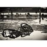 dailyPhoto23